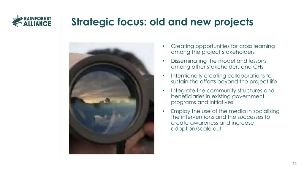 strategic focus old and new projects