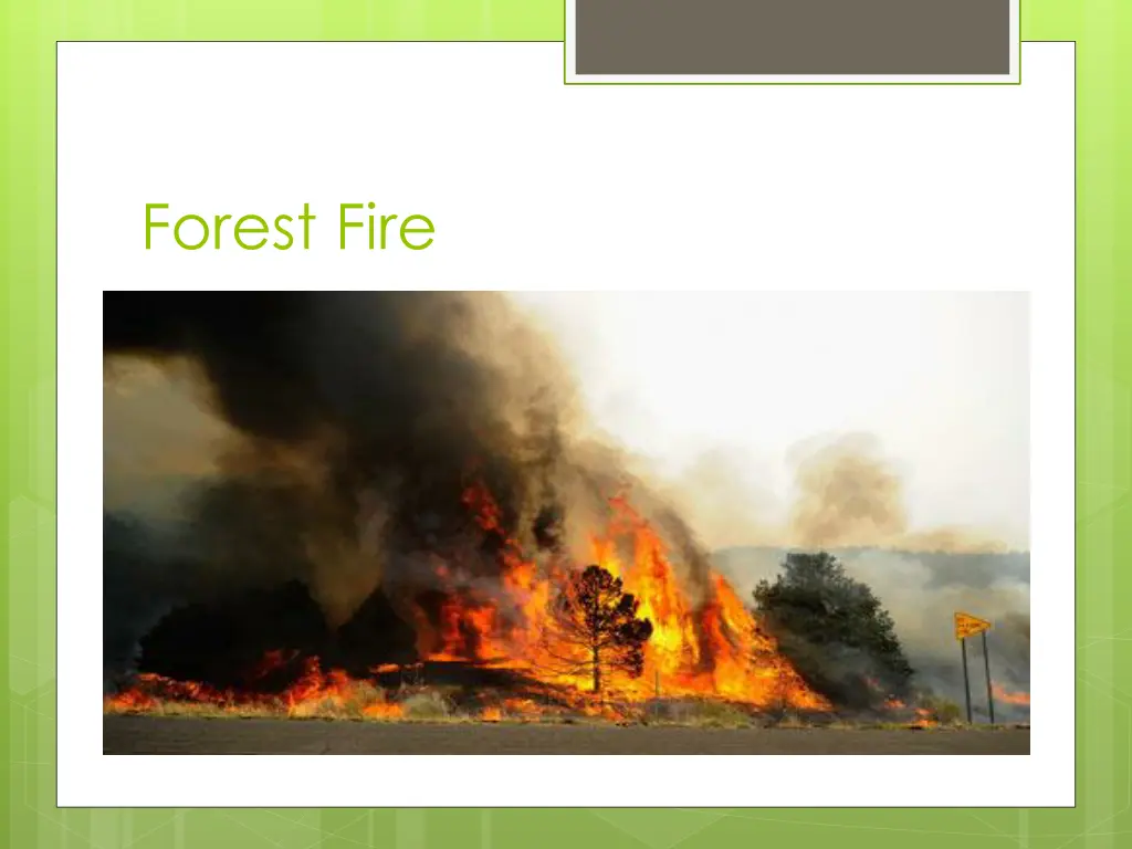 forest fire