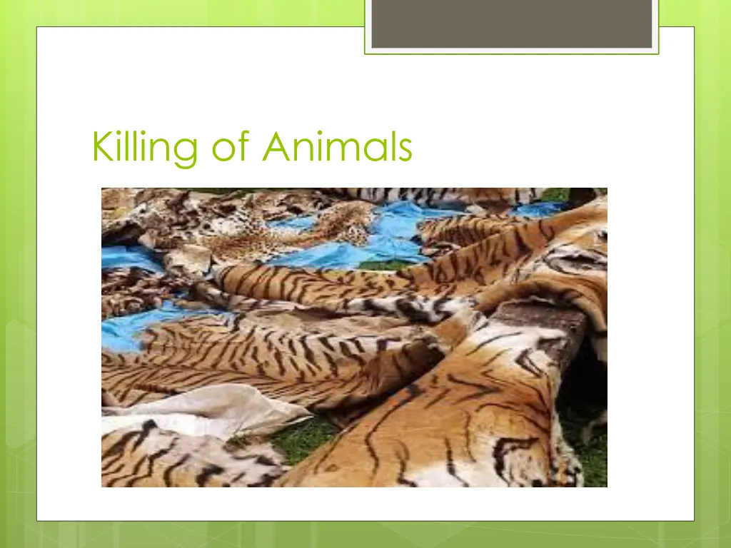 killing of animals