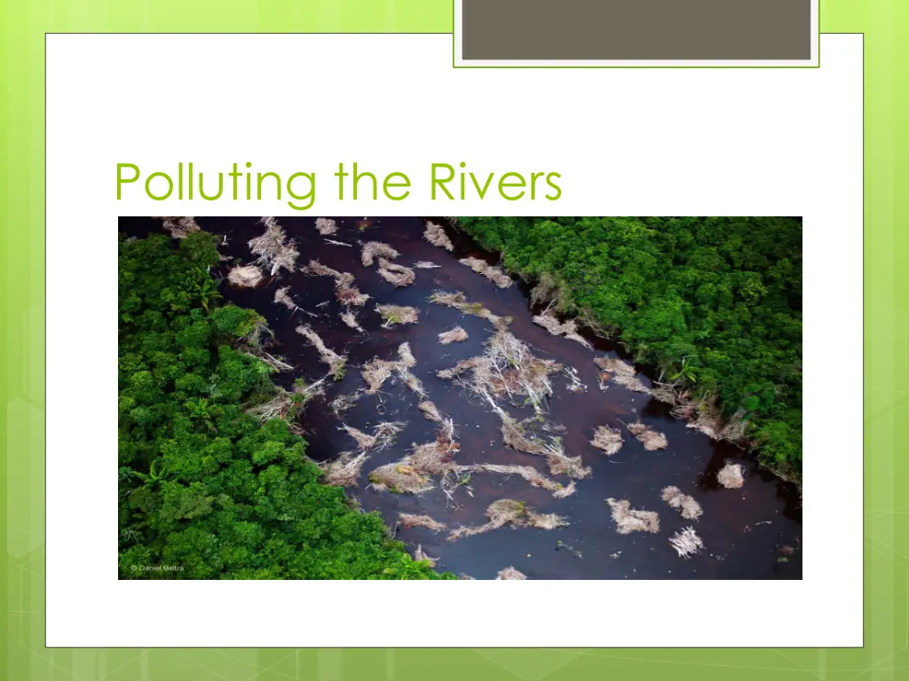 polluting the rivers