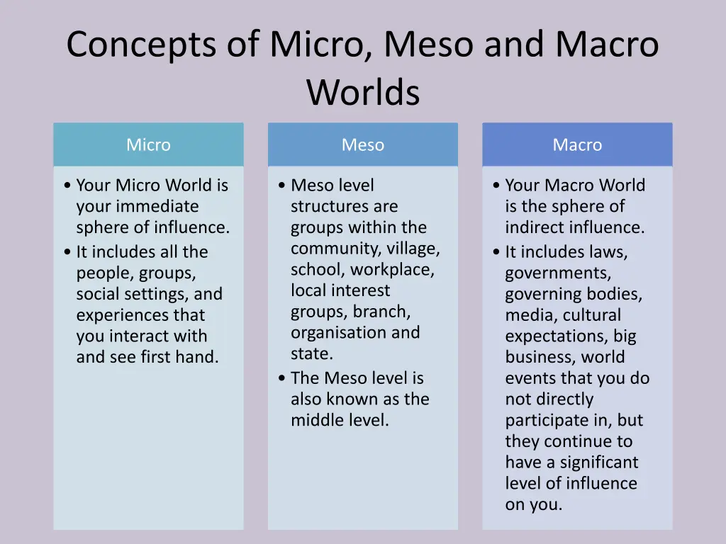 concepts of micro meso and macro worlds