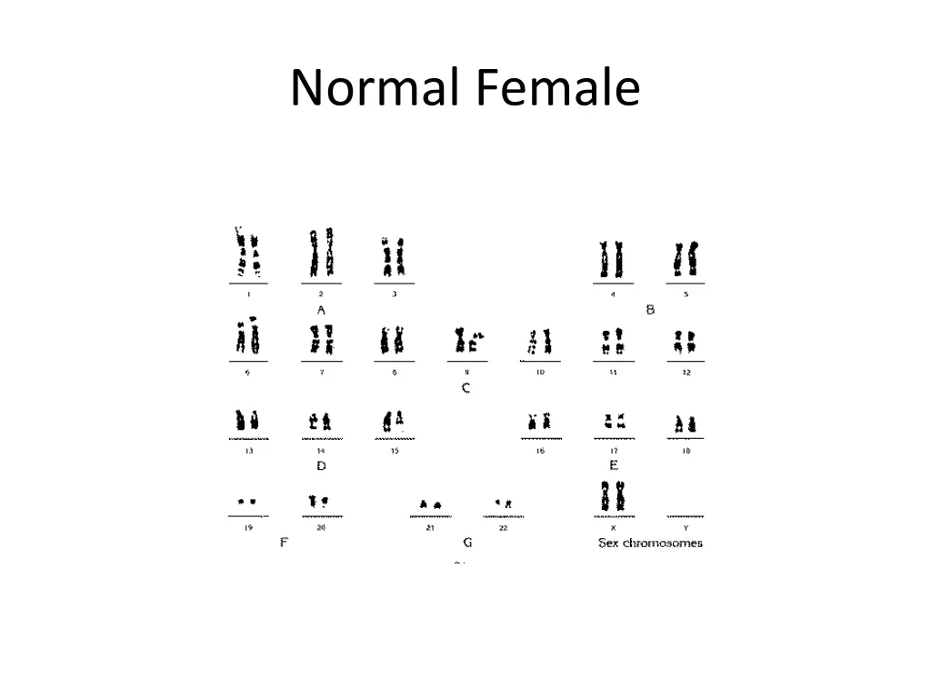 normal female