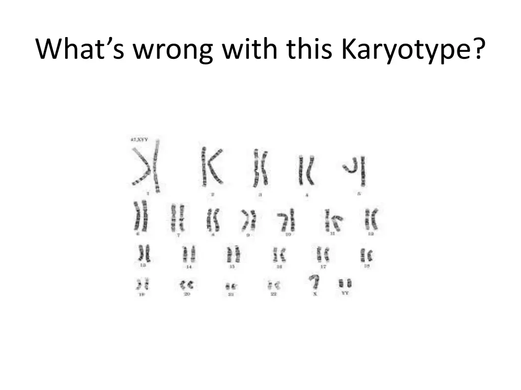 what s wrong with this karyotype