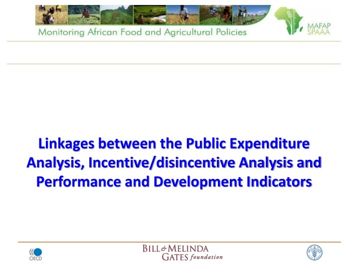 linkages between the public expenditure analysis