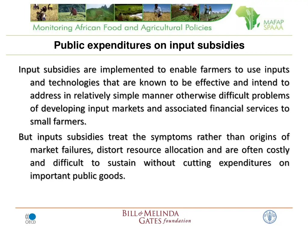 public expenditures on input subsidies