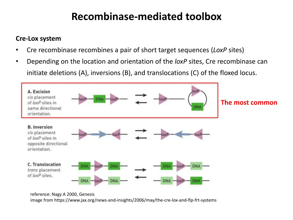 recombinase mediated toolbox 1