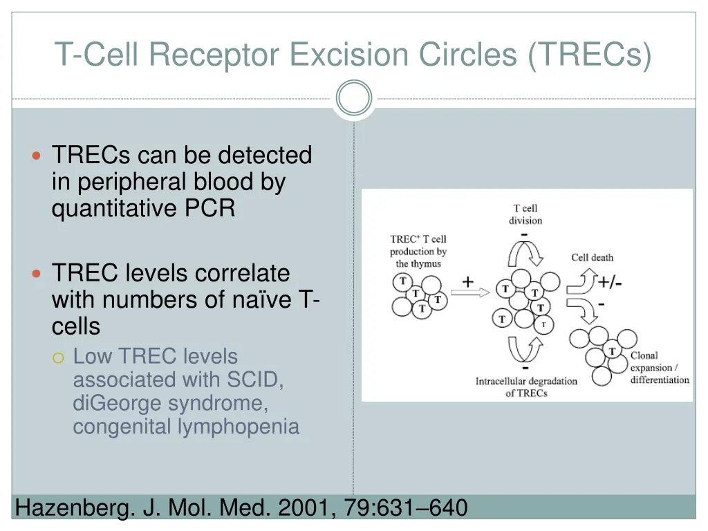 t cell receptor excision circles trecs 1