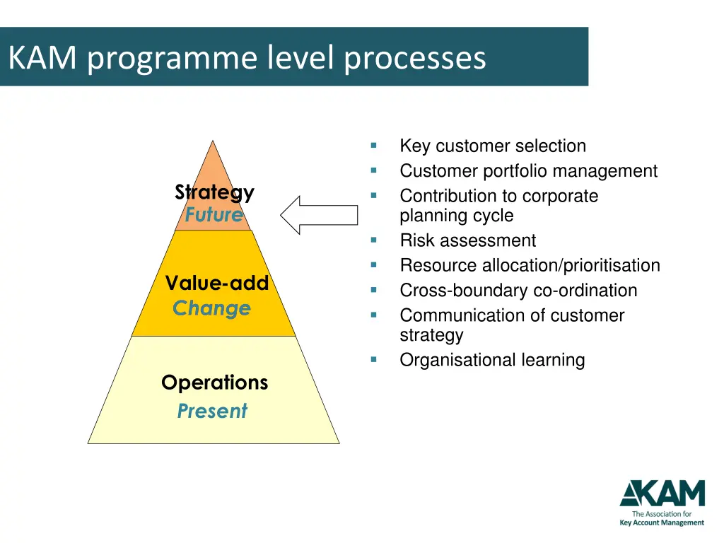 kam programme level processes