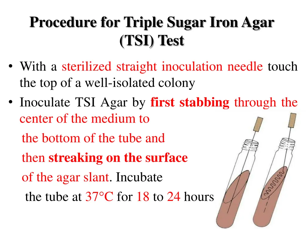 procedure for triple sugar iron agar tsi test