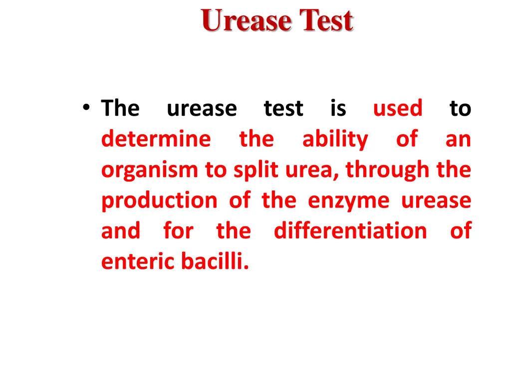 urease test