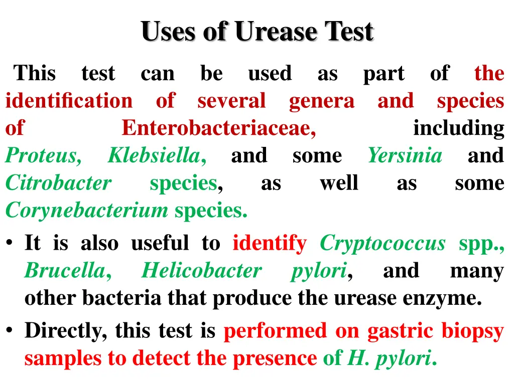 uses of urease test