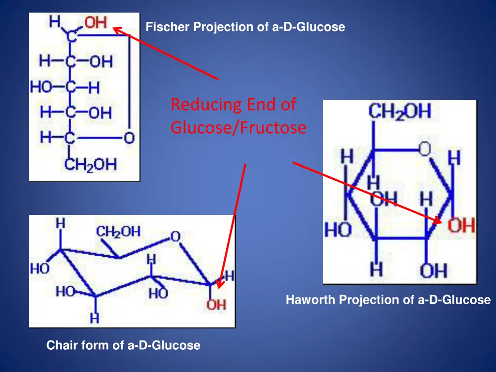 fischer projection of a d glucose