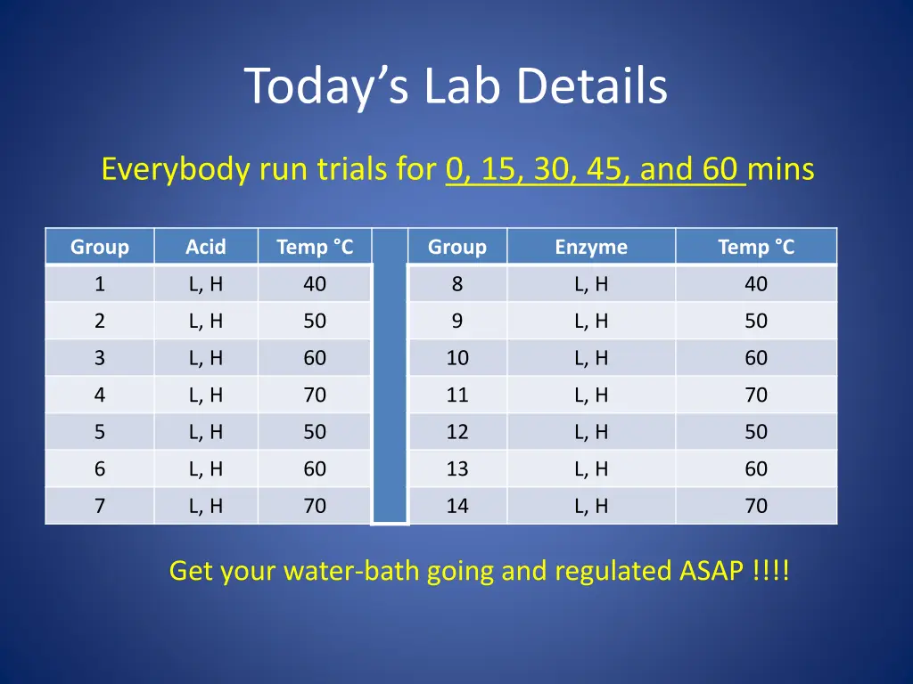 today s lab details