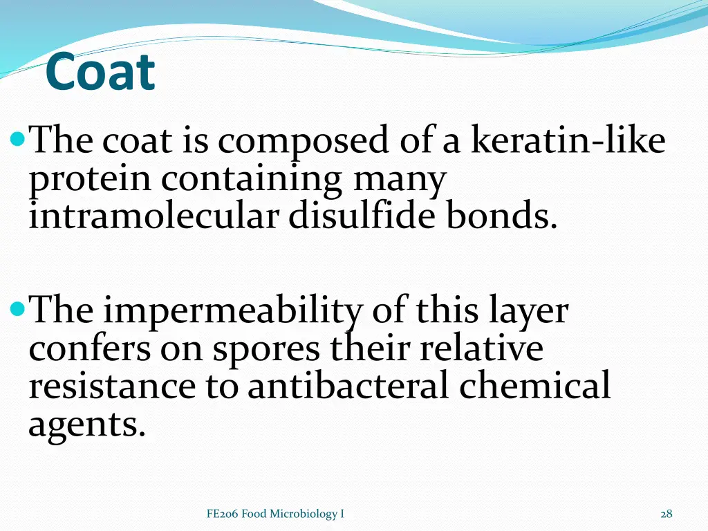 coat the coat is composed of a keratin like