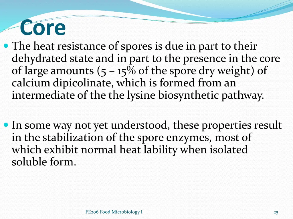 core the heat resistance of spores is due in part