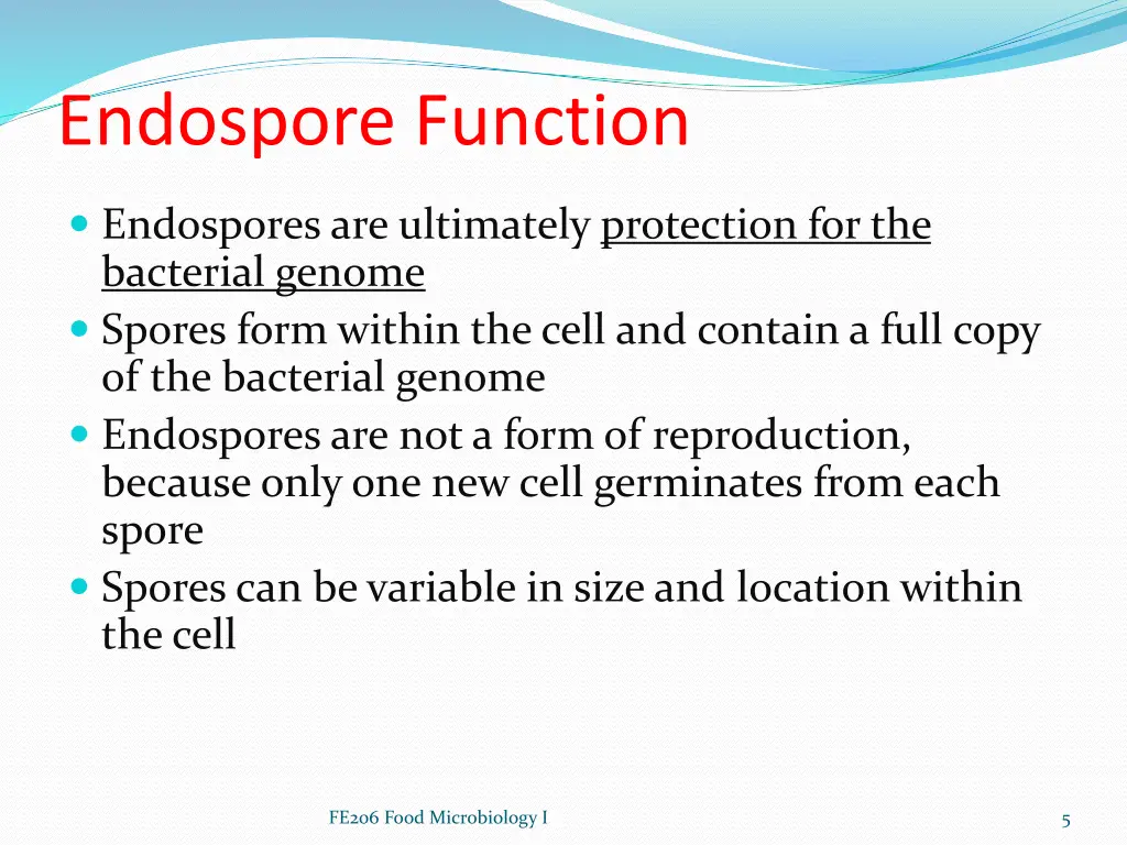 endospore function