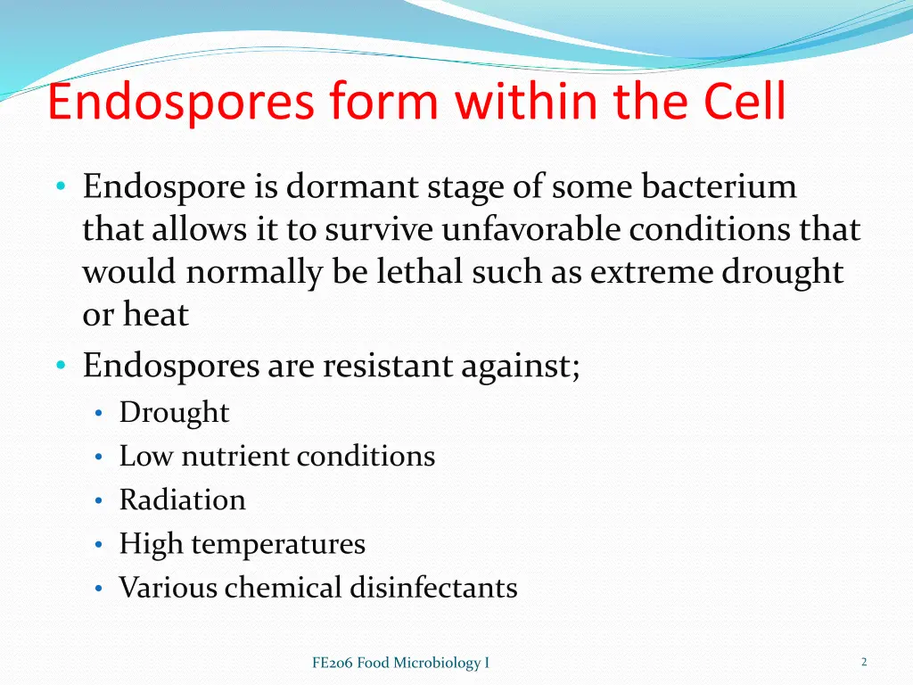 endospores form within the cell