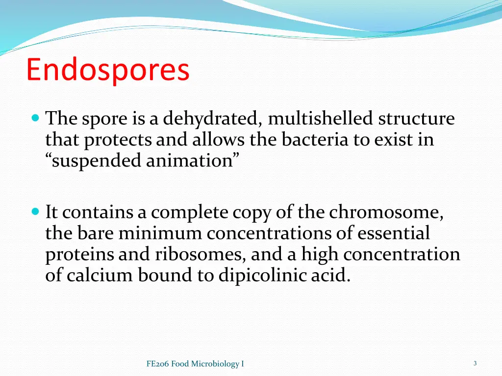 endospores