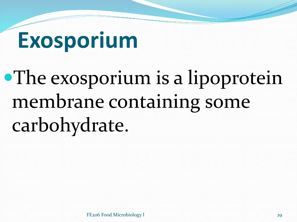 exosporium