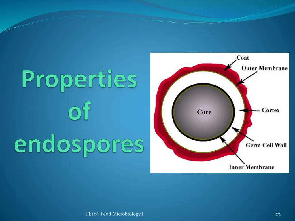 fe206 food microbiology i 1