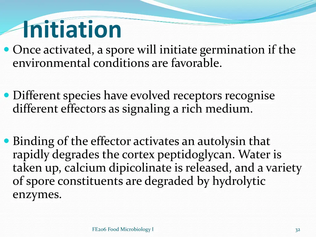 initiation once activated a spore will initiate