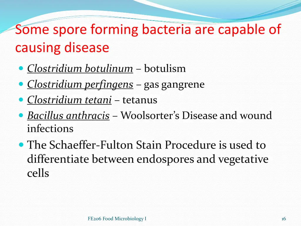 some spore forming bacteria are capable