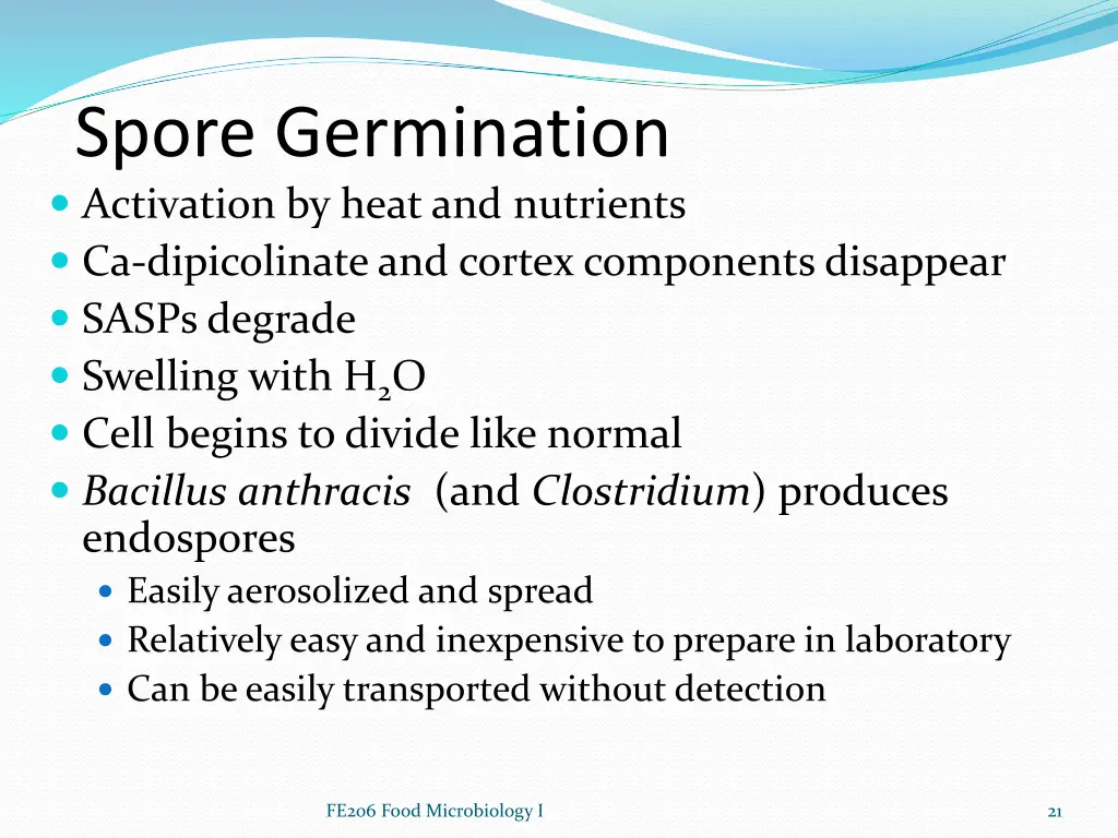 spore germination activation by heat