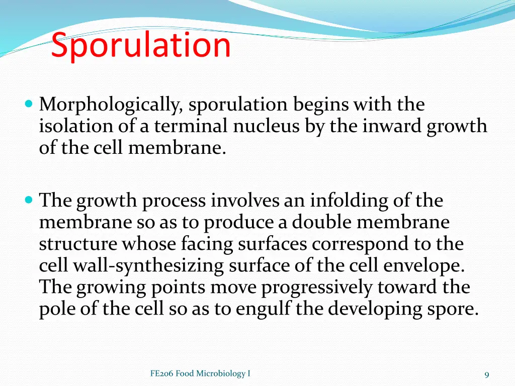 sporulation 1