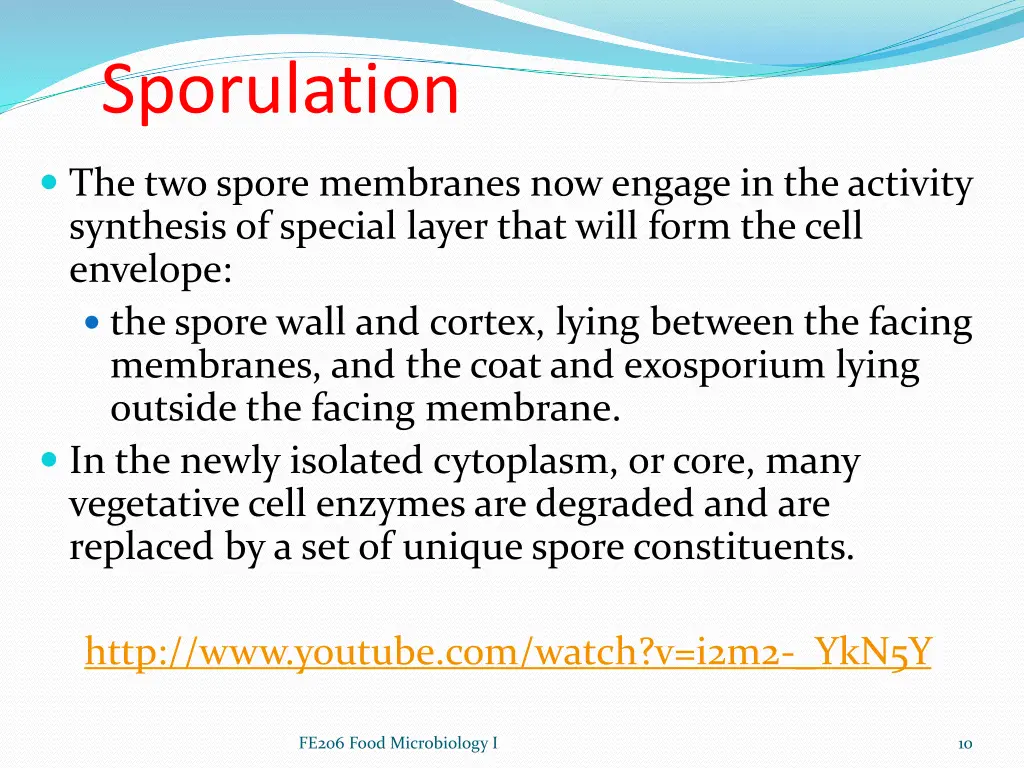 sporulation 2