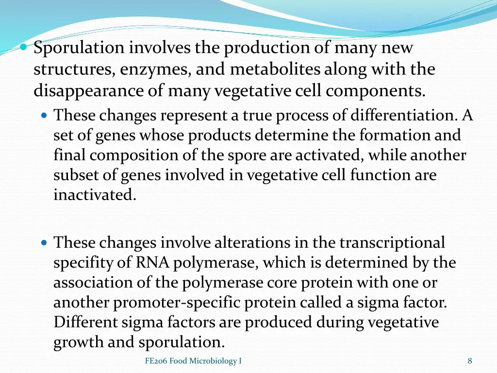 sporulation involves the production of many