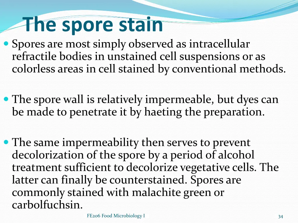 the spore stain spores are most simply observed