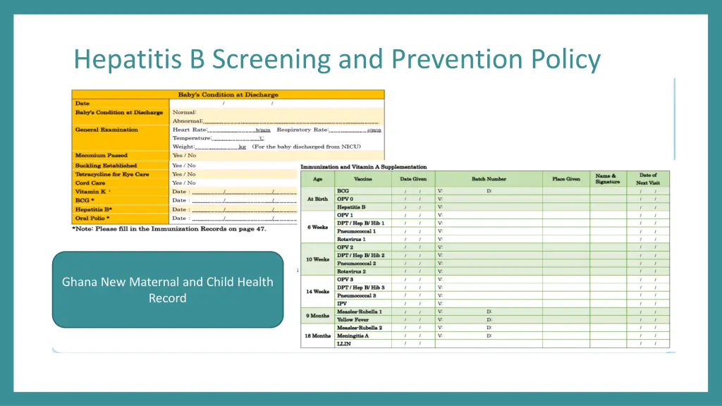 hepatitis b screening and prevention policy