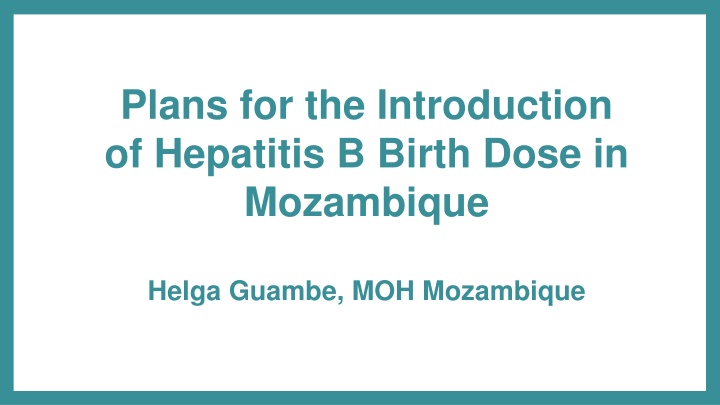 plans for the introduction of hepatitis b birth