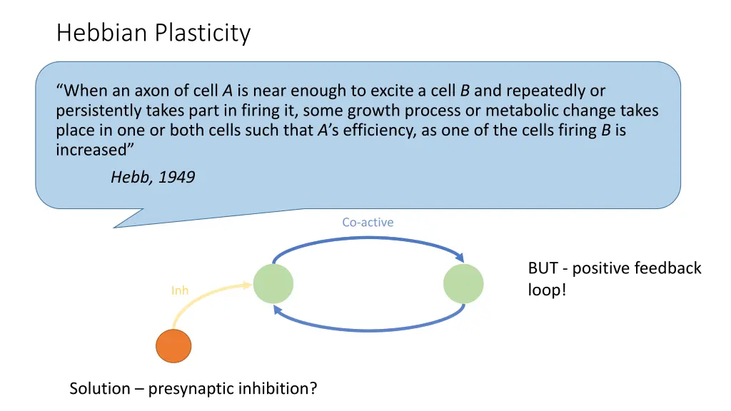 hebbian plasticity