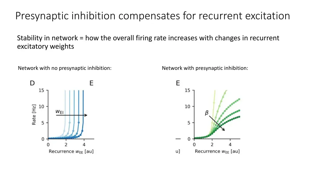 presynaptic inhibition compensates for recurrent