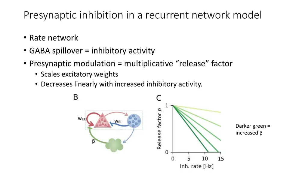 presynaptic inhibition in a recurrent network