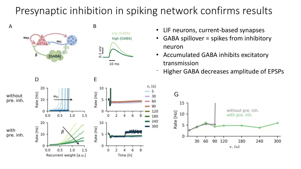 presynaptic inhibition in spiking network