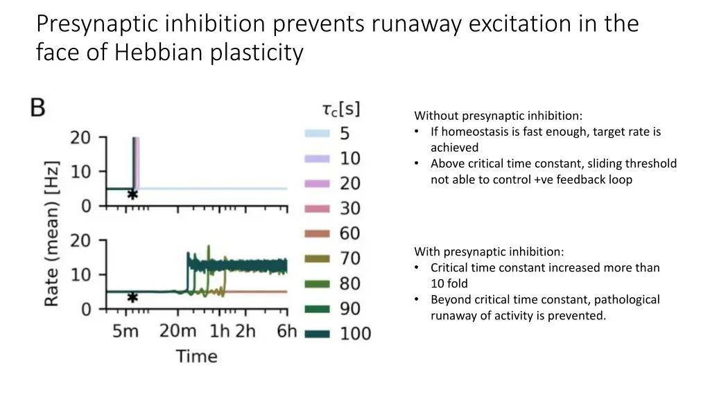 presynaptic inhibition prevents runaway 1