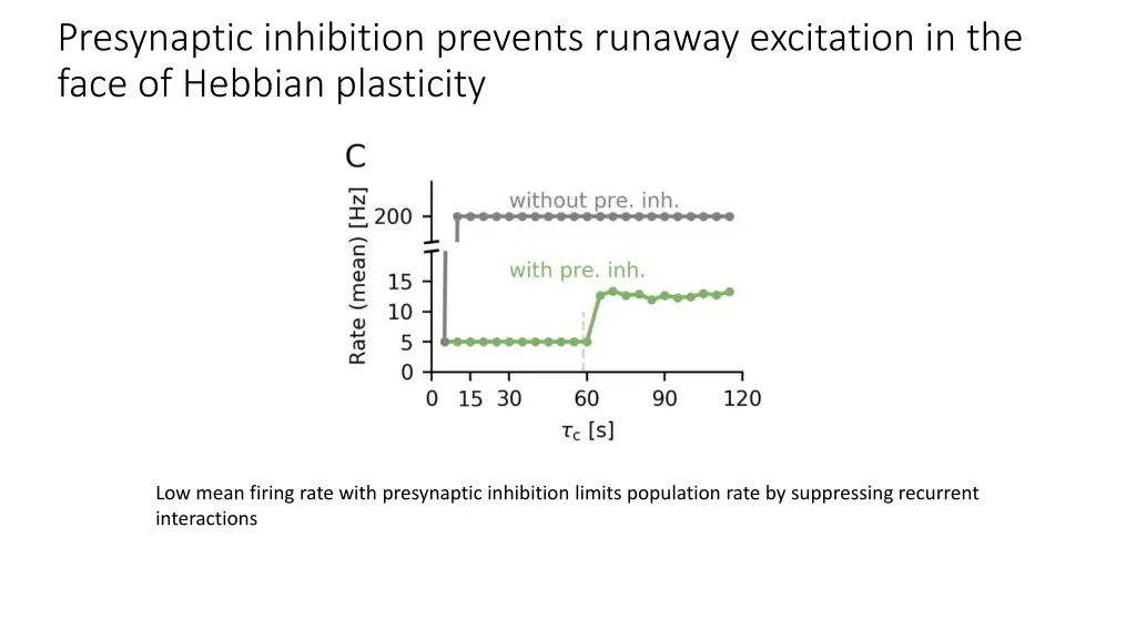 presynaptic inhibition prevents runaway 2