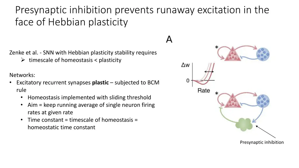 presynaptic inhibition prevents runaway