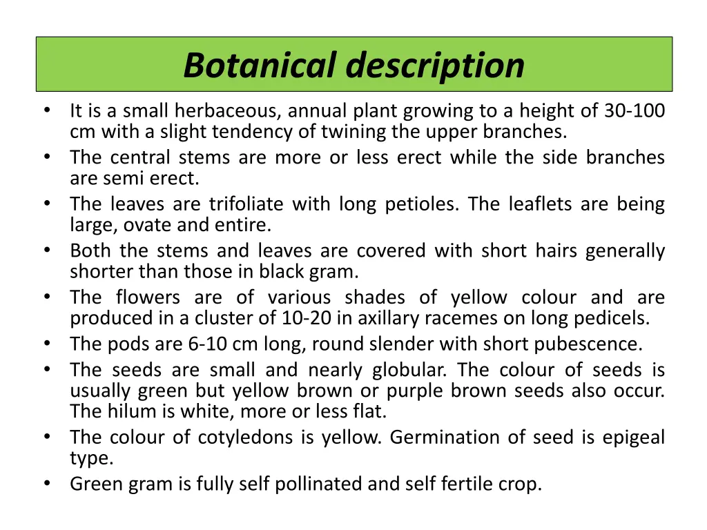 botanical description it is a small herbaceous