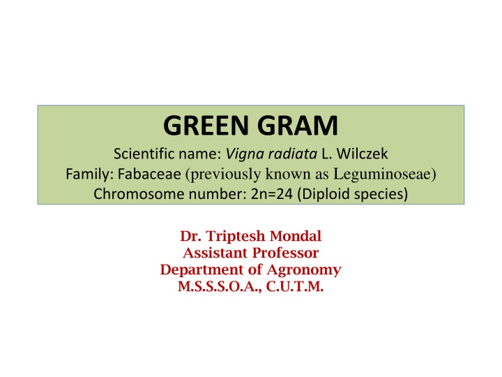 green gram scientific name vigna radiata