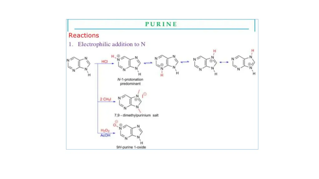 slide11