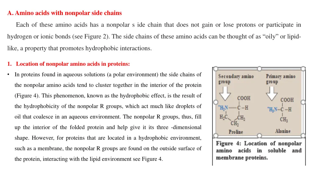 a amino acids with nonpolar side chains