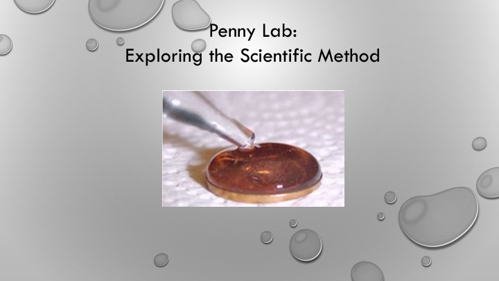 penny lab