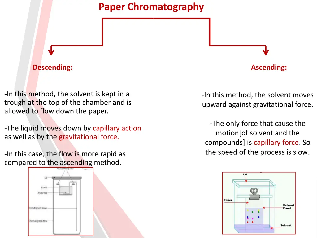 paper chromatography