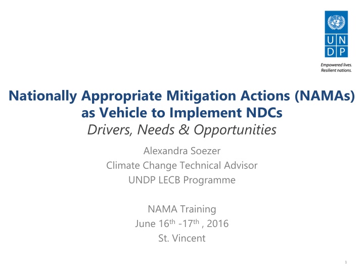 nationally appropriate mitigation actions namas