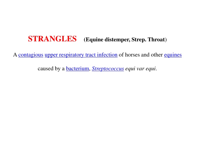 strangles equine distemper strep throat