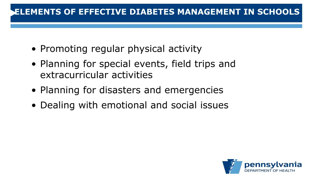 elements of effective diabetes management 2