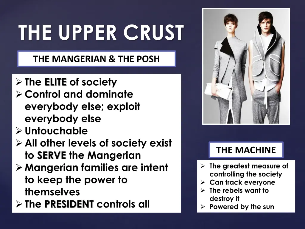 the upper crust